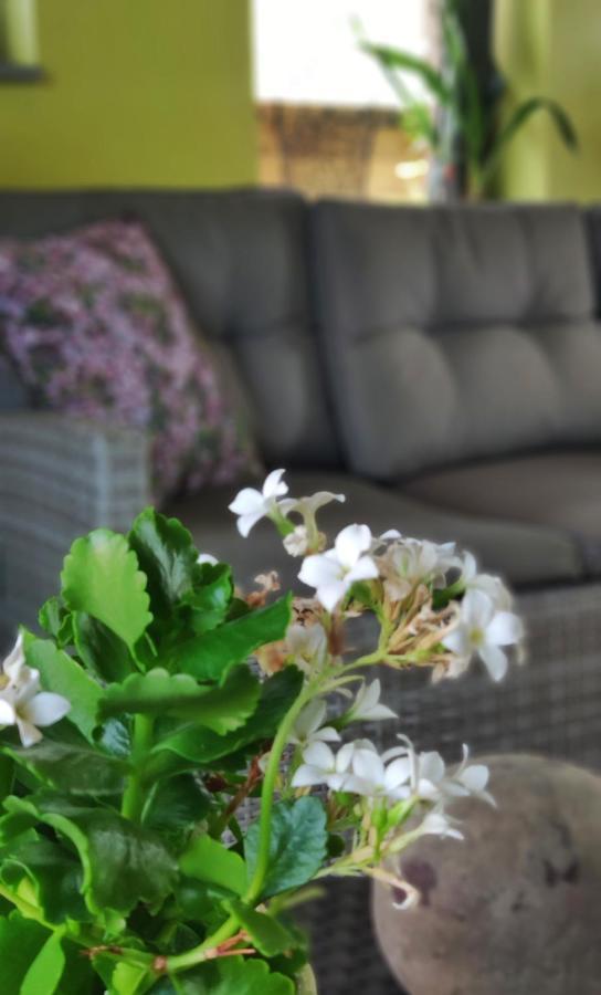 B&B Aquavert Турне Экстерьер фото